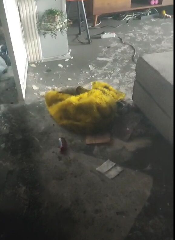 Whatsapp Image 2026 03 09 At 11.56.09 (1)