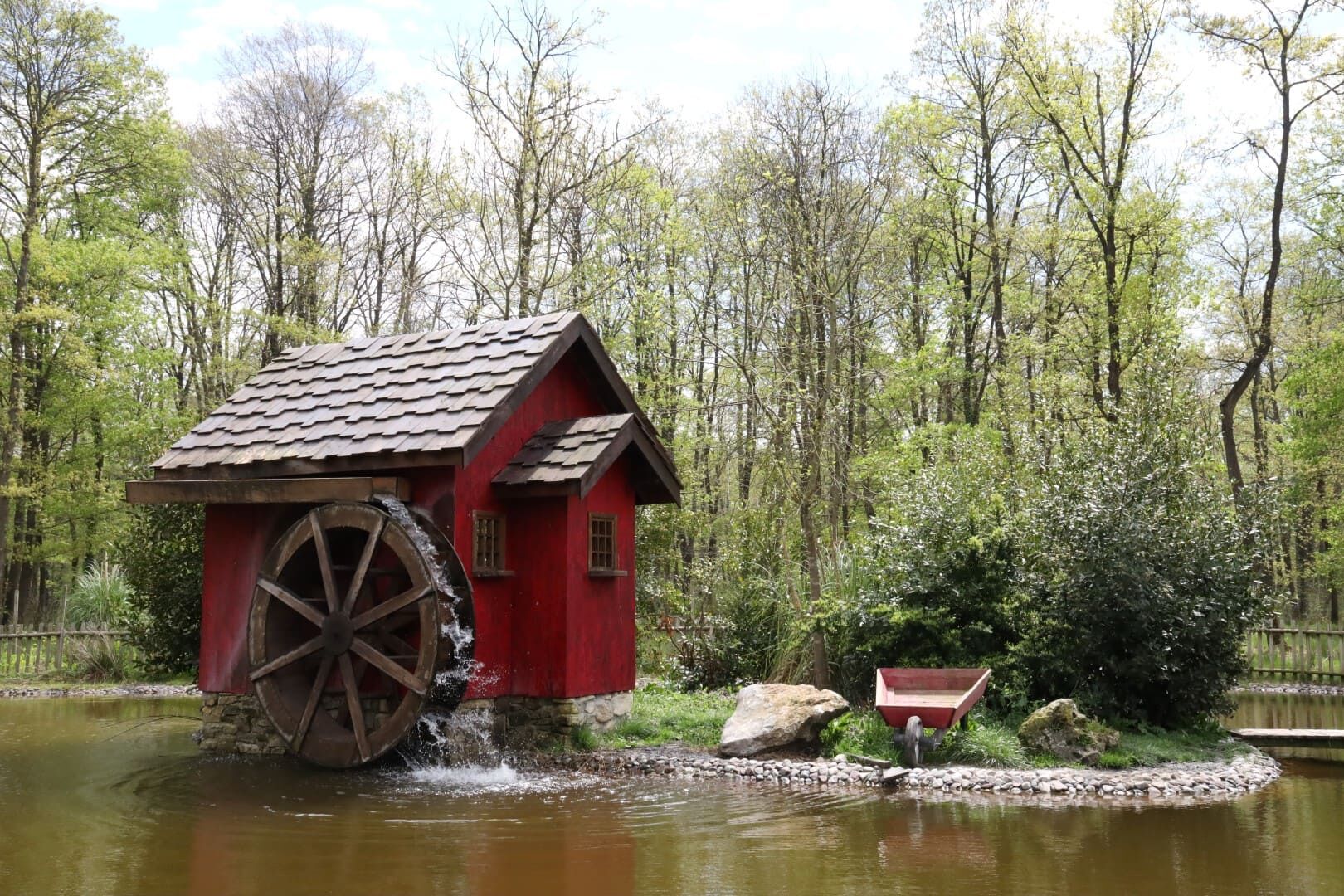 Baharın En Güzel Hali Ormanya’da Yaşanıyor (29) (Large)