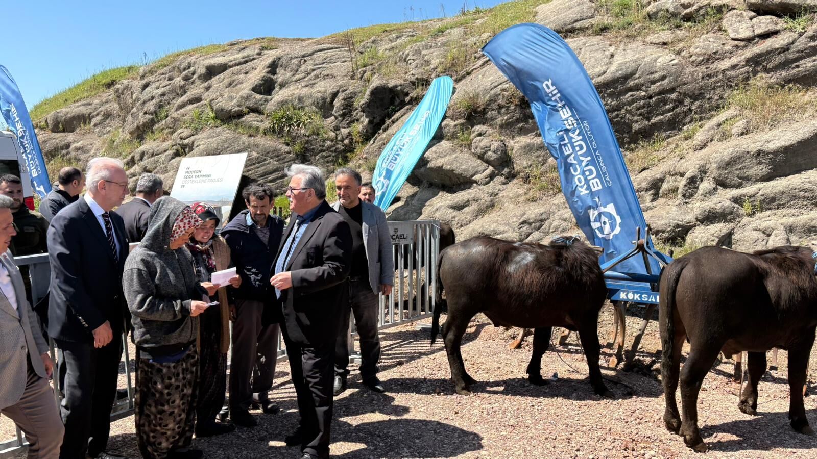 Kocaeli'de Hayvancılık, Büyükşehir'le Daha Kolay (3)