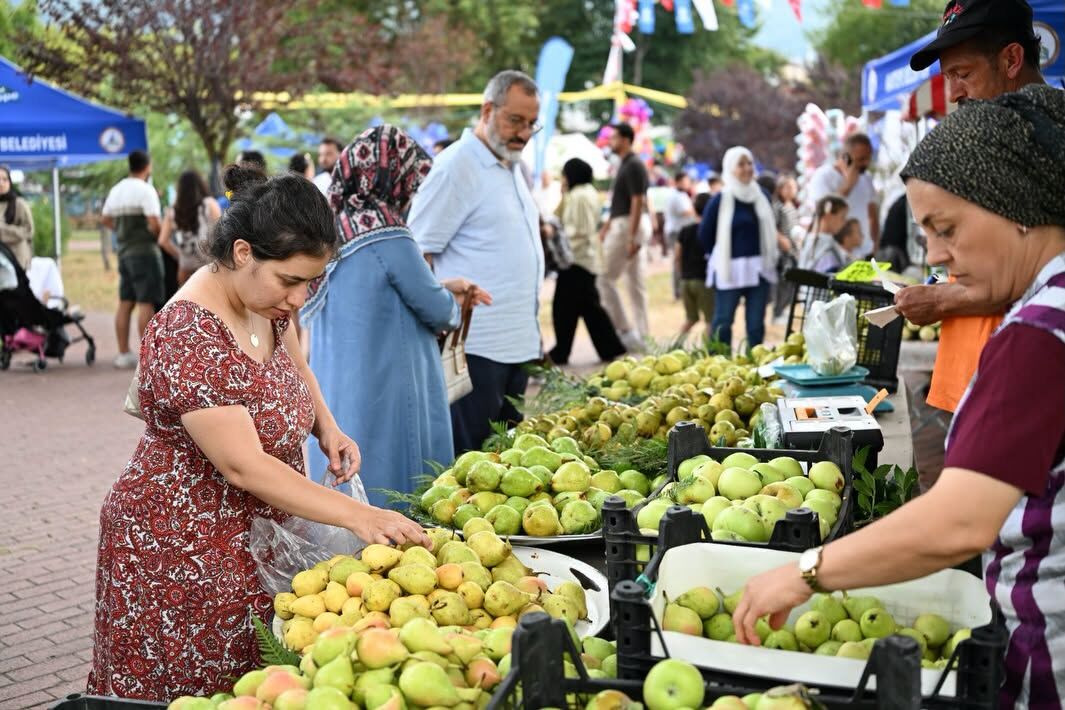 Kartepe’de Armut Şenliği’ne Büyük İlgi (2)